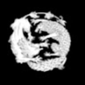 Meet your Posher, Shane